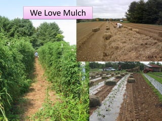 We Love Mulch
 