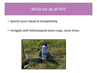 What we do at PVF
• Special sauce liquid at transplanting
• Fertigate with fish/seaweed some crops, some times
 