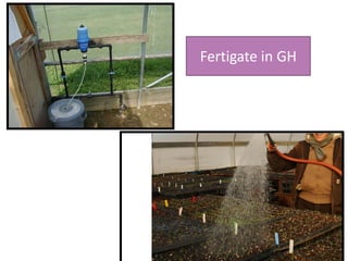 Fertigate in GH
 