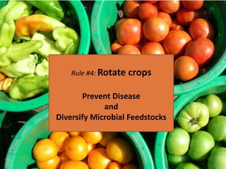 Rule #4: Rotate crops
Prevent Disease
and
Diversify Microbial Feedstocks
 
