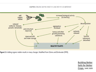Building Better
Soils for Better
Crops SARE 2009
 