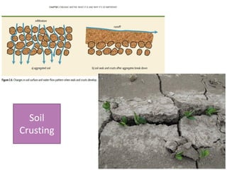 Soil
Crusting
 