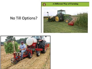 No Till Options?
 