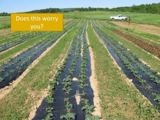 Does this worry
you?
 