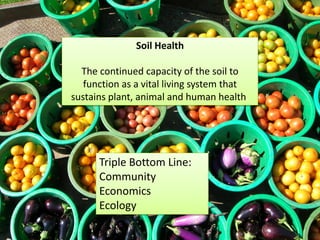 Soil Health
The continued capacity of the soil to
function as a vital living system that
sustains plant, animal and human health.
Triple Bottom Line:
Community
Economics
Ecology
 