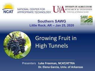 Southern SAWG
Little Rock, AR – Jan 25, 2020
Growing Fruit in
High Tunnels
Presenters Luke Freeman, NCAT/ATTRA
Dr. Elena Garcia, Univ. of Arkansas
 