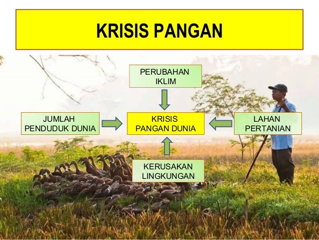 Peran Dan Konstribusi Perusahaan Dalam Penurunan Dampak Pemanasan Glo