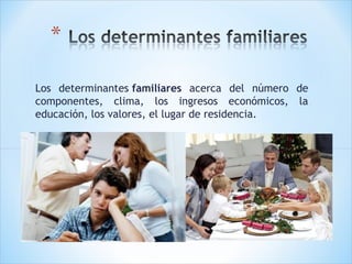 Los determinantes familiares acerca del número de
componentes, clima, los ingresos económicos, la
educación, los valores, el lugar de residencia.

 