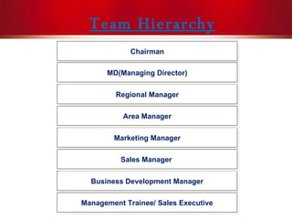 Team Hierarchy Business Development Manager Management Trainee/ Sales Executive Regional Manager Marketing Manager Area Manager Sales Manager  Chairman MD(Managing Director) 