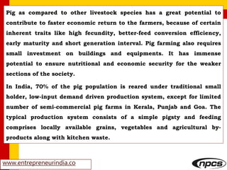 www.entrepreneurindia.co
Pig as compared to other livestock species has a great potential to
contribute to faster economic return to the farmers, because of certain
inherent traits like high fecundity, better-feed conversion efficiency,
early maturity and short generation interval. Pig farming also requires
small investment on buildings and equipments. It has immense
potential to ensure nutritional and economic security for the weaker
sections of the society.
In India, 70% of the pig population is reared under traditional small
holder, low-input demand driven production system, except for limited
number of semi-commercial pig farms in Kerala, Punjab and Goa. The
typical production system consists of a simple pigsty and feeding
comprises locally available grains, vegetables and agricultural by-
products along with kitchen waste.
 