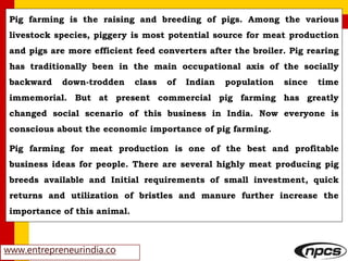 www.entrepreneurindia.co
Pig farming is the raising and breeding of pigs. Among the various
livestock species, piggery is most potential source for meat production
and pigs are more efficient feed converters after the broiler. Pig rearing
has traditionally been in the main occupational axis of the socially
backward down-trodden class of Indian population since time
immemorial. But at present commercial pig farming has greatly
changed social scenario of this business in India. Now everyone is
conscious about the economic importance of pig farming.
Pig farming for meat production is one of the best and profitable
business ideas for people. There are several highly meat producing pig
breeds available and Initial requirements of small investment, quick
returns and utilization of bristles and manure further increase the
importance of this animal.
 