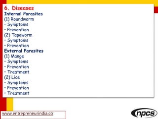 www.entrepreneurindia.co
6. Diseases
Internal Parasites
(1) Roundworm
• Symptoms
• Prevention
(2) Tapeworm
• Symptoms
• Prevention
External Parasites
(1) Mange
• Symptoms
• Prevention
• Treatment
(2) Lice
• Symptoms
• Prevention
• Treatment
 