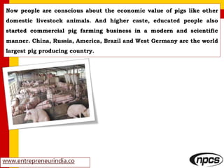 www.entrepreneurindia.co
Now people are conscious about the economic value of pigs like other
domestic livestock animals. And higher caste, educated people also
started commercial pig farming business in a modern and scientific
manner. China, Russia, America, Brazil and West Germany are the world
largest pig producing country.
 