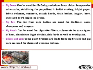 www.entrepreneurindia.co
 Pig Bones: Can be used for: Refining cadmium, bone china, inexpensive
wine corks, stabilising the propellant in bullet making, inkjet paper,
fabric softener, concrete, match heads, train brakes, yogurt, beer,
wine and don’t forget ice-cream.
 Pig Fat: The fat from pigs bodies are used for biodiesel, soap,
shampoos and crayons
 Pig Blood: Can be used for: cigarette filters, colourants in some types
of ham, aluminium ingot moulds, fish foods as well as toothpaste.
 Bristles and Ears: Some paint brushes are made from pig bristles and pig
ears are used for chemical weapons testing.
 