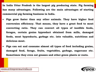 www.entrepreneurindia.co
In India Uttar Pradesh is the largest pig producing state. Pig farming
has many advantages. Following are the main advantages of starting
commercial pig farming business in India.
 Pigs grow faster than any other animals. They have higher feed
conversion efficiency. That means, they have a great feed to meat
converting ratio. They can convert all types of inedible feeds,
forages, certain grains byproduct obtained from mills, damaged
feeds, meat byproducts, garbage etc. into valuable, nutritious and
delicious meat.
 Pigs can eat and consume almost all types of feed including grains,
damaged food, forage, fruits, vegetables, garbage, sugarcane etc.
Sometimes they even eat grasses and other green plants or roots.
 