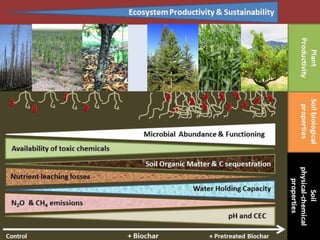 Biochar and its importance in sustaining crop productivity & soil ...