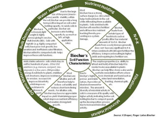 Biochar and its importance in sustaining crop productivity & soil ...