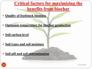 Biochar and its importance in sustaining crop productivity & soil ...