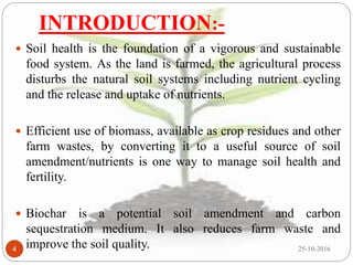 Biochar and its importance in sustaining crop productivity & soil ...