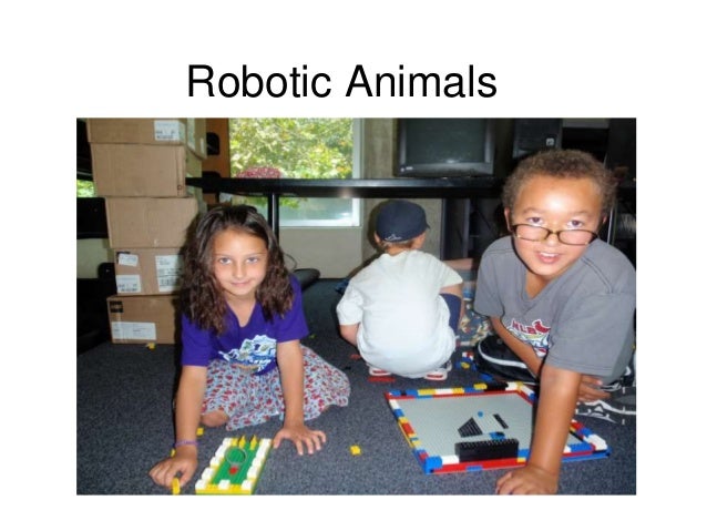 Mosi Summer Camp Event Slideshow