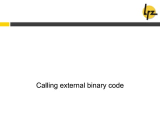 Calling external binary code
 