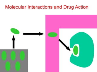 Molecular Interactions and Drug Action
 