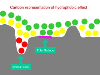 Cartoon representation of hydrophobic effect
Polar Surface
Binding Pocket
 