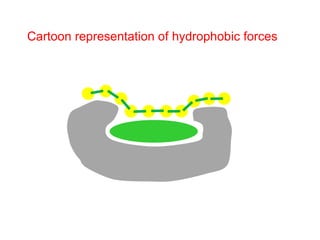 Cartoon representation of hydrophobic forces
 