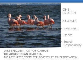 ONE
PROJECT
3 GOALS
• Investment
• Health
• Social
Responsibility
LAKE EPECUEN – CITY OF CARHUE
THE ARGENTINEAN DEAD SEA
THE BEST KEPT SECRET FOR PORTFOILIO DIVERSIFICATION

 