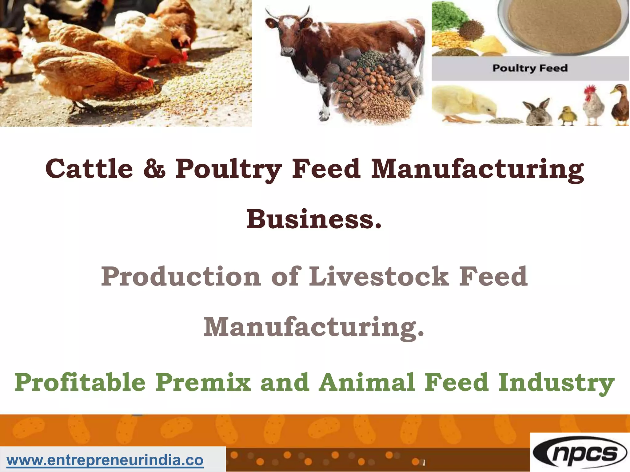 Cattle & Poultry Feed Manufacturing Business PPT