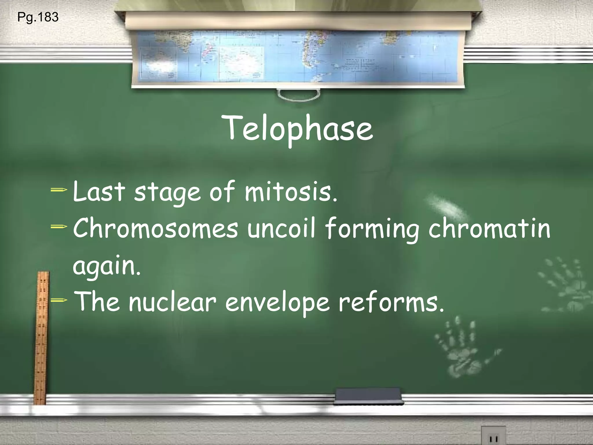 Telophase Last stage of mitosis. Chromosomes uncoil forming chromatin again. The nuclear envelope reforms. Pg.183  