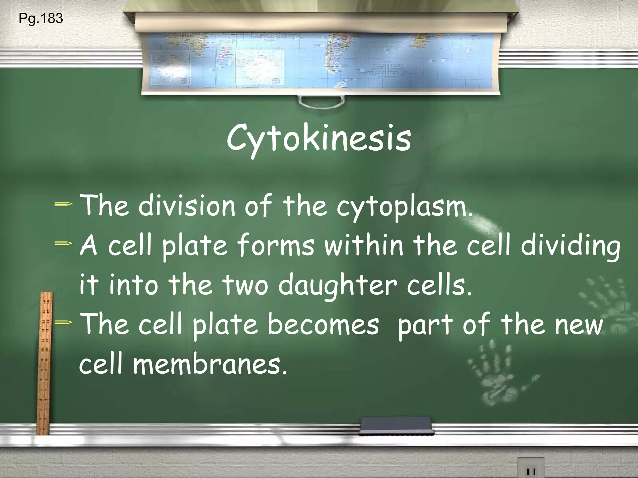 Cytokinesis The division of the cytoplasm. A cell plate forms within the cell dividing it into the two daughter cells. The cell plate becomes  part of the new cell membranes. Pg.183  