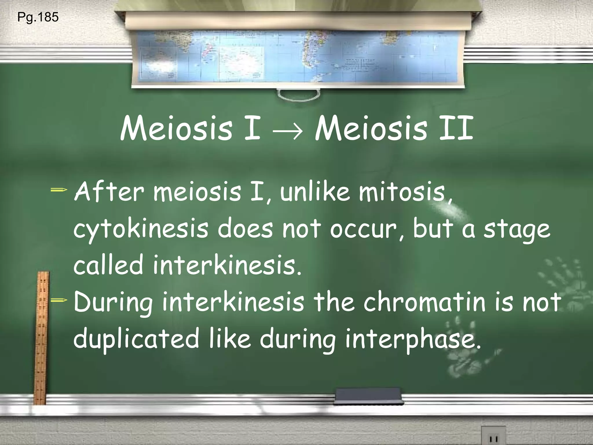 Meiosis I    Meiosis II After meiosis I, unlike mitosis, cytokinesis does not occur, but a stage called interkinesis. During interkinesis the chromatin is not duplicated like during interphase. Pg.185  