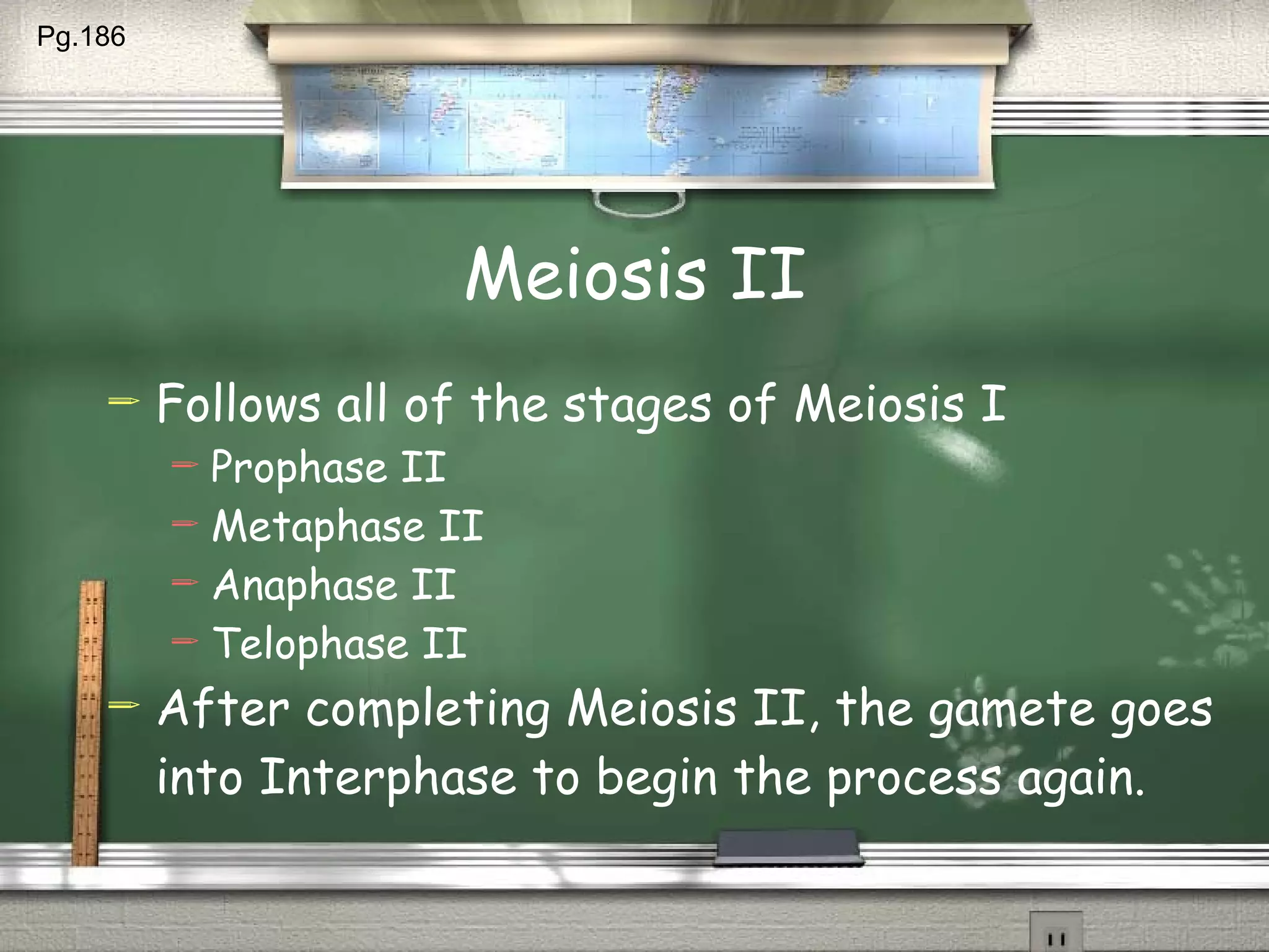 Meiosis II Follows all of the stages of Meiosis I Prophase II Metaphase II Anaphase II Telophase II After completing Meiosis II, the gamete goes into Interphase to begin the process again. Pg.186  