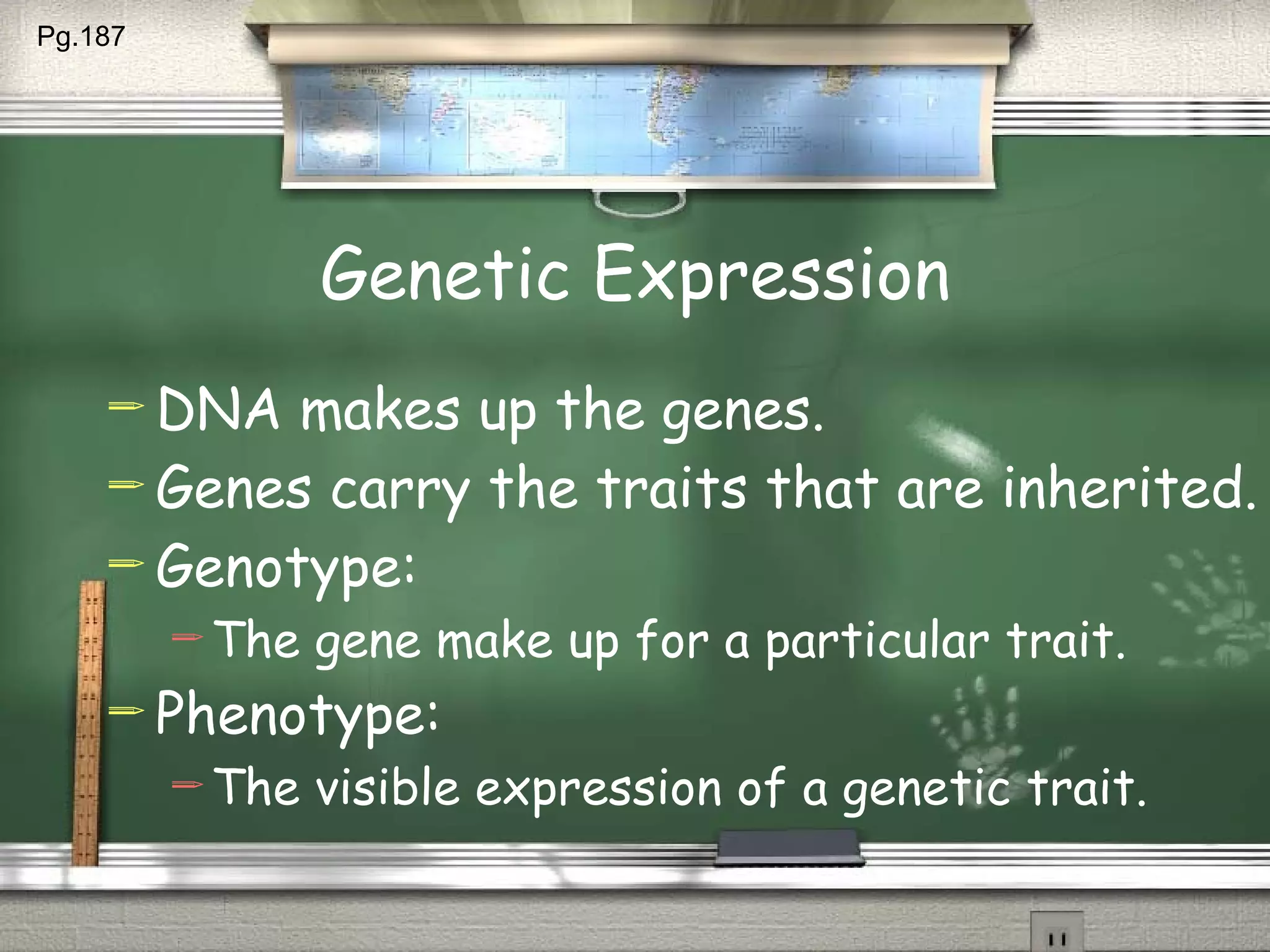 Genetic Expression DNA makes up the genes. Genes carry the traits that are inherited. Genotype: The gene make up for a particular trait. Phenotype: The visible expression of a genetic trait. Pg.187  