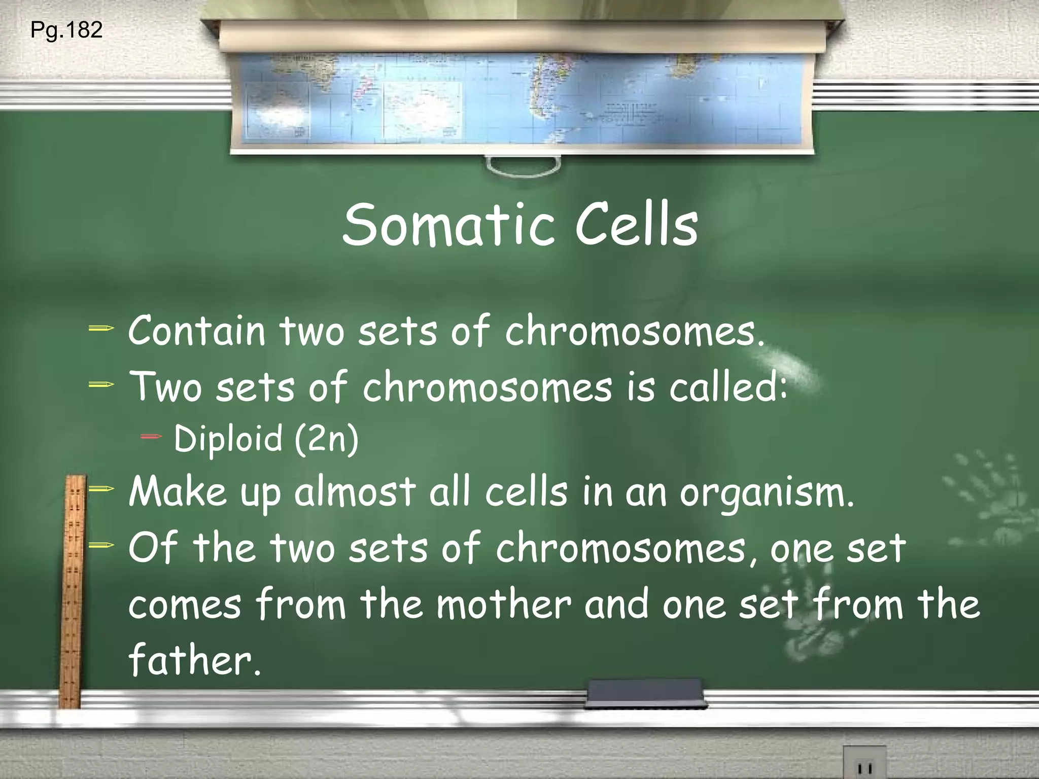 Somatic Cells Contain two sets of chromosomes. Two sets of chromosomes is called: Diploid (2n) Make up almost all cells in an organism. Of the two sets of chromosomes, one set comes from the mother and one set from the father. Pg.182  