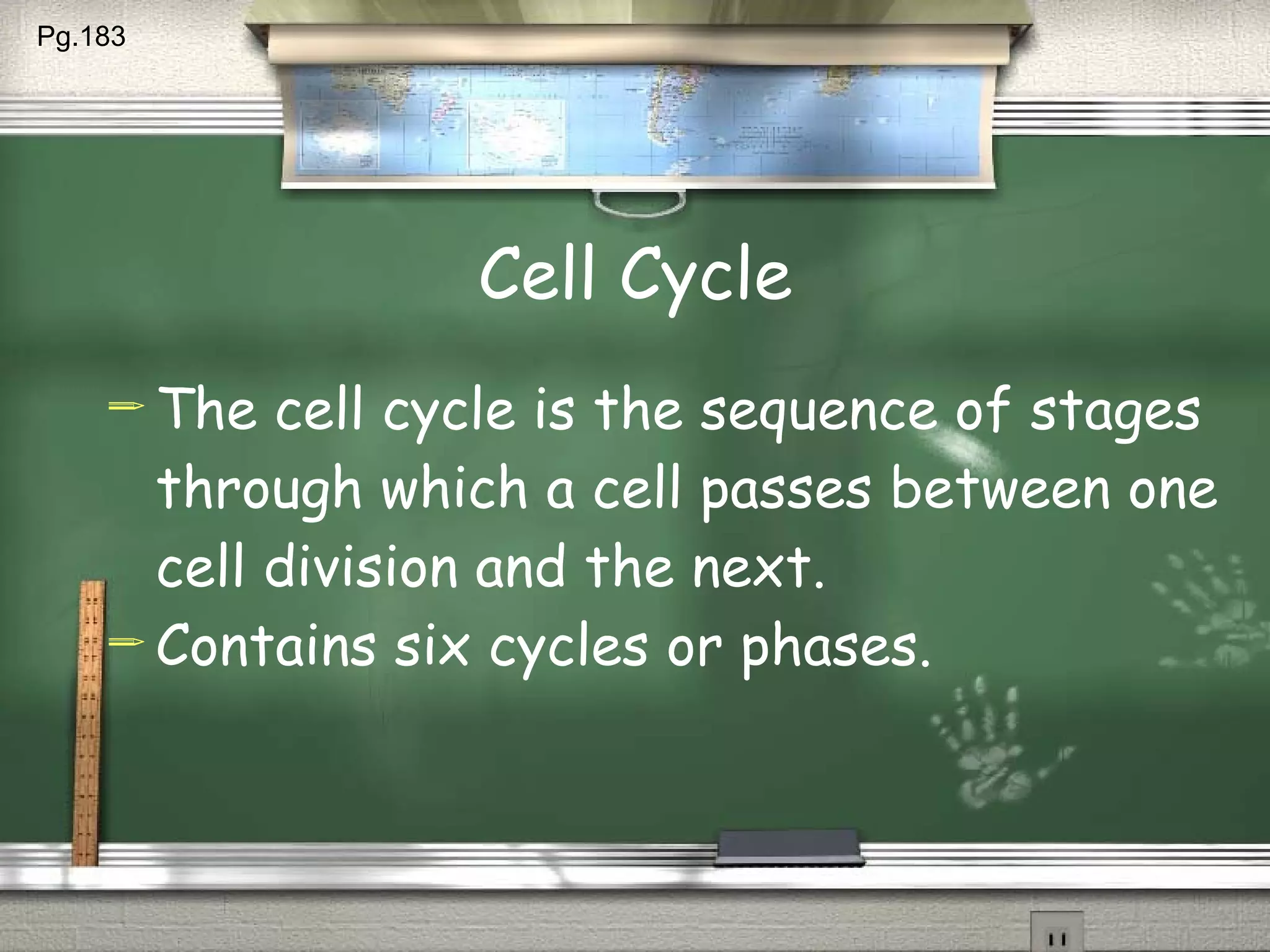 Cell Cycle The cell cycle is the sequence of stages through which a cell passes between one cell division and the next. Contains six cycles or phases. Pg.183  