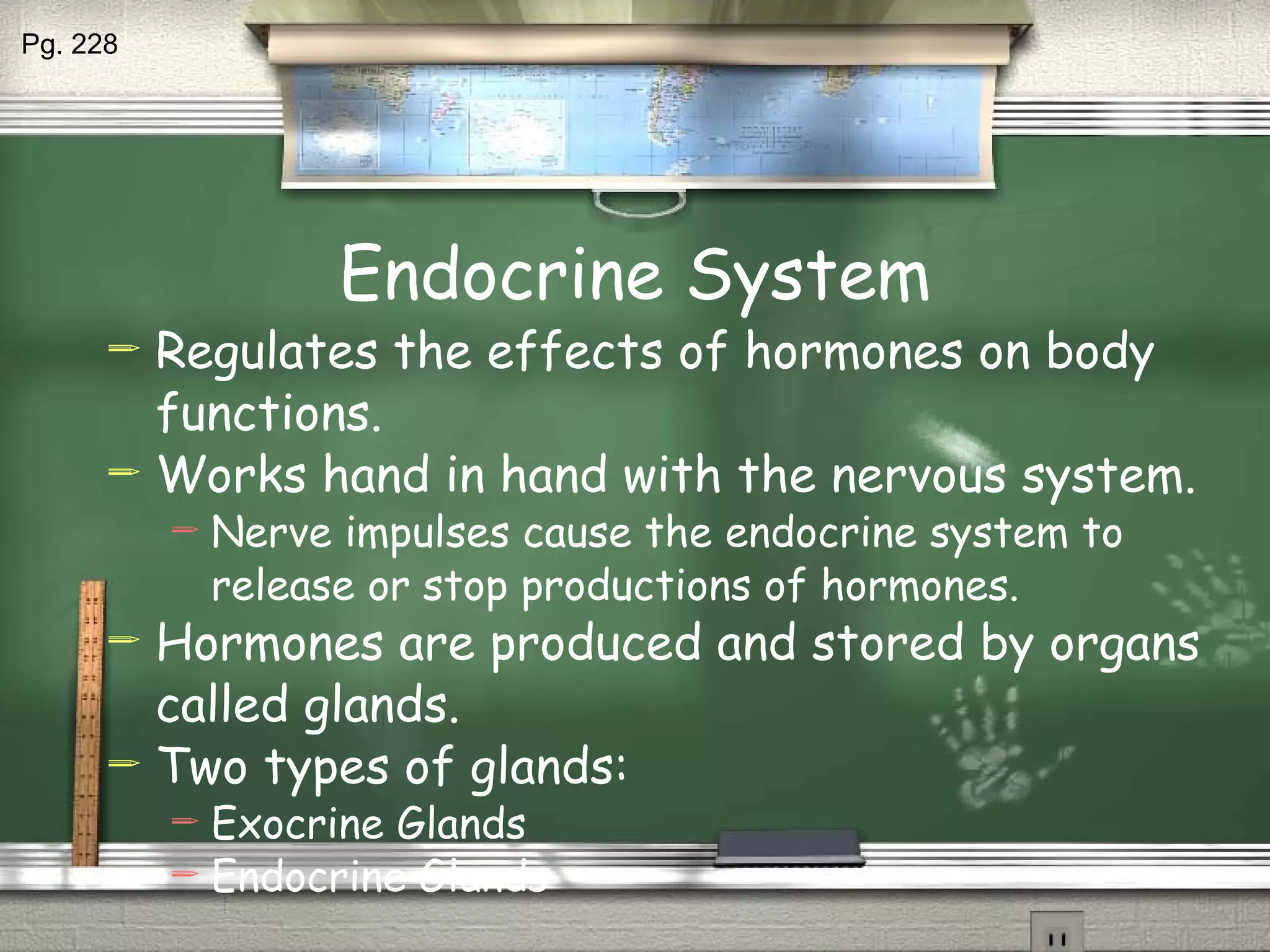 Endocrine System Regulates the effects of hormones on body functions. Works hand in hand with the nervous system. Nerve impulses cause the endocrine system to release or stop productions of hormones. Hormones are produced and stored by organs called glands. Two types of glands: Exocrine Glands Endocrine Glands Pg. 228 