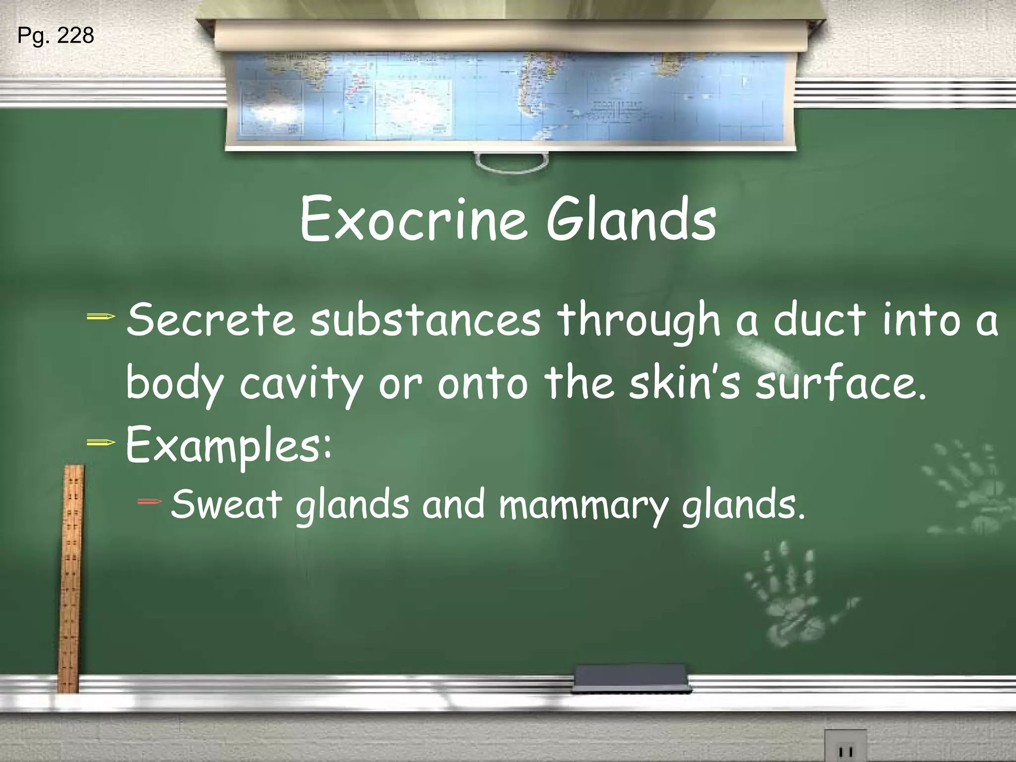 Exocrine Glands Secrete substances through a duct into a body cavity or onto the skin’s surface. Examples: Sweat glands and mammary glands. Pg. 228 