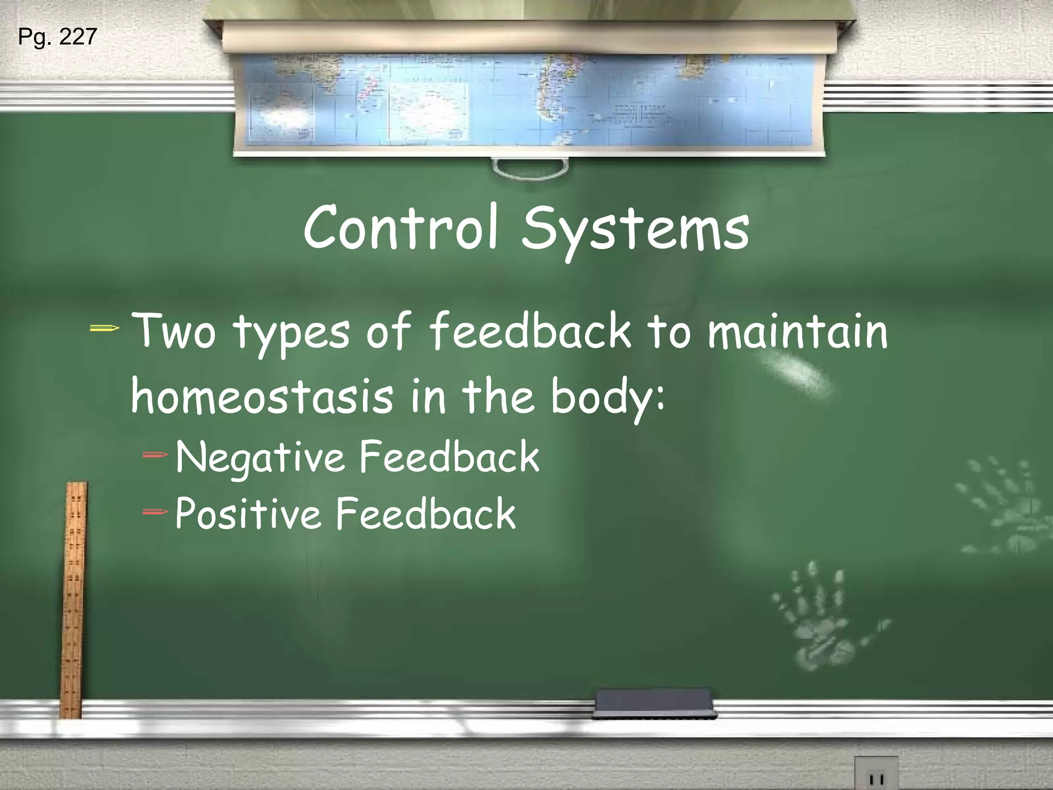 Control Systems Two types of feedback to maintain homeostasis in the body: Negative Feedback Positive Feedback Pg. 227  