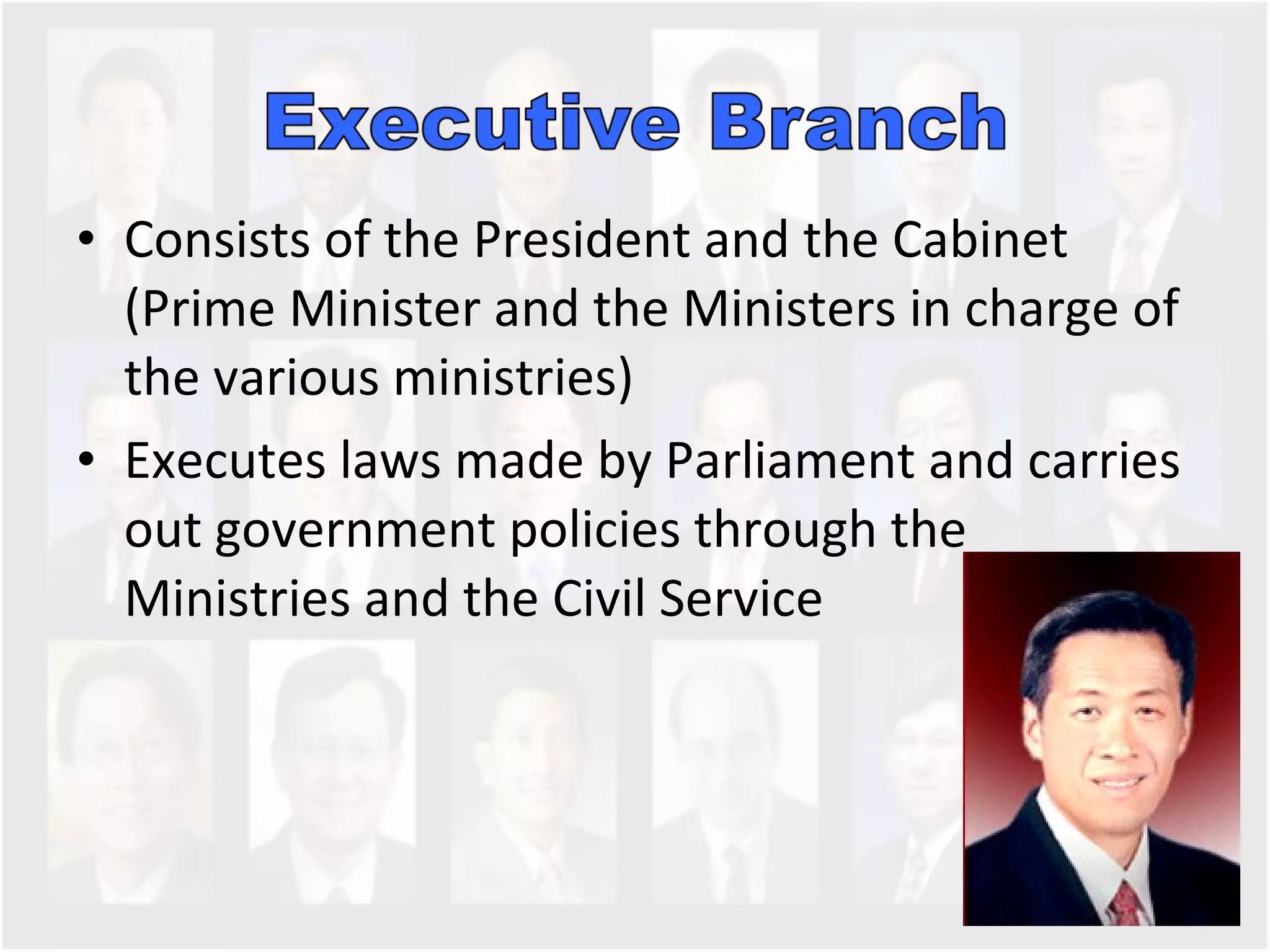 Consists of the President and the Cabinet (Prime Minister and the Ministers in charge of the various ministries) Executes laws made by Parliament and carries out government policies through the Ministries and the Civil Service 