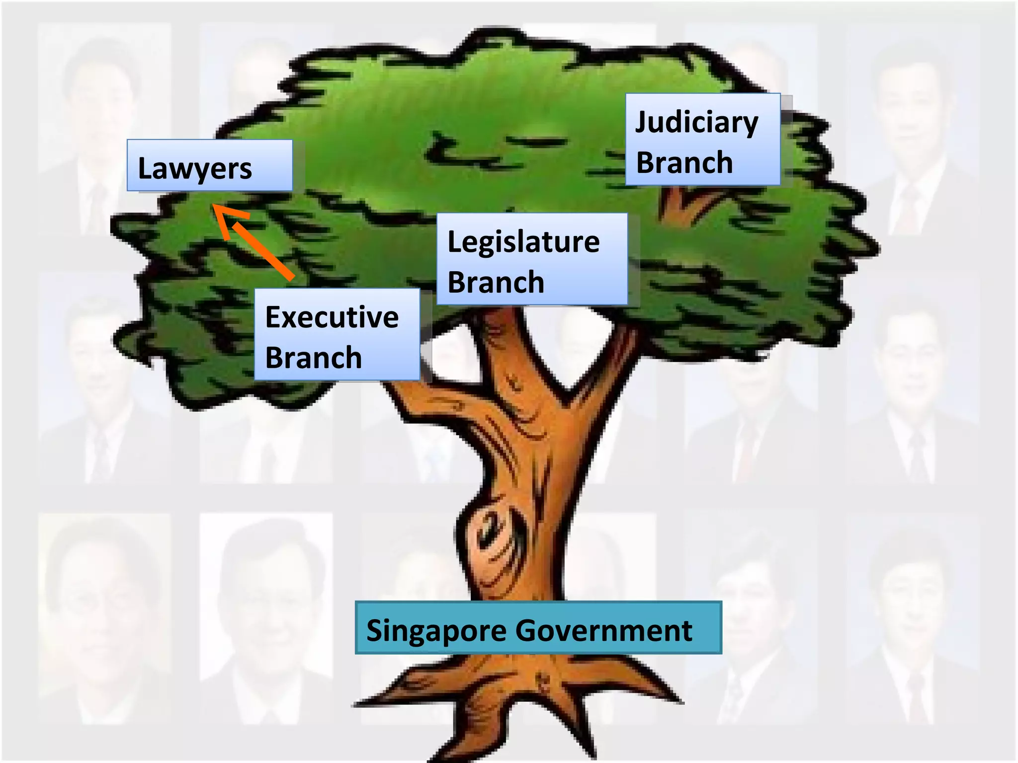 Singapore Government  Executive Branch Legislature Branch Judiciary Branch Lawyers 