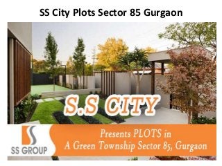 SS City Plots Sector 85 Gurgaon 
 
