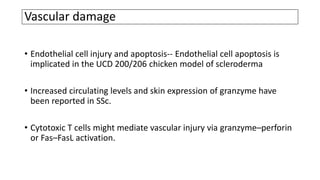 Vascular damage
• Endothelial cell injury and apoptosis-- Endothelial cell apoptosis is
implicated in the UCD 200/206 chicken model of scleroderma
• Increased circulating levels and skin expression of granzyme have
been reported in SSc.
• Cytotoxic T cells might mediate vascular injury via granzyme–perforin
or Fas–FasL activation.
 