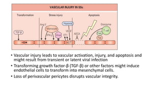 • Vascular injury leads to vascular activation, injury, and apoptosis and
might result from transient or latent viral infection
• Transforming growth factor-β (TGF-β) or other factors might induce
endothelial cells to transform into mesenchymal cells.
• Loss of perivascular pericytes disrupts vascular integrity.
 