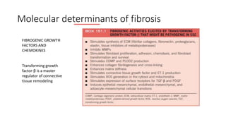 Molecular determinants of fibrosis
FIBROGENIC GROWTH
FACTORS AND
CHEMOKINES
Transforming growth
factor-β is a master
regulator of connective
tissue remodeling
 