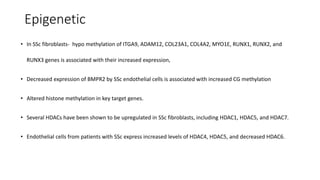 Epigenetic
• In SSc fibroblasts- hypo methylation of ITGA9, ADAM12, COL23A1, COL4A2, MYO1E, RUNX1, RUNX2, and
RUNX3 genes is associated with their increased expression,
• Decreased expression of BMPR2 by SSc endothelial cells is associated with increased CG methylation
• Altered histone methylation in key target genes.
• Several HDACs have been shown to be upregulated in SSc fibroblasts, including HDAC1, HDAC5, and HDAC7.
• Endothelial cells from patients with SSc express increased levels of HDAC4, HDAC5, and decreased HDAC6.
 
