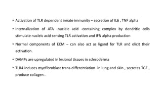 • Activation of TLR dependent innate immunity – secretion of IL6 , TNF alpha
• Internalization of ATA -nucleic acid -containing complex by dendritic cells
stimulate nucleic acid sensing TLR activation and IFN alpha production
• Normal components of ECM – can also act as ligand for TLR and elicit their
activation.
• DAMPs are upregulated in lesional tissues in scleroderma
• TLR4 induces myofibroblast trans-differentiation in lung and skin , secretes TGF ,
produce collagen .
 