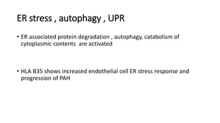 ER stress , autophagy , UPR
• ER associated protein degradation , autophagy, catabolism of
cytoplasmic contents are activated
• HLA B35 shows increased endothelial cell ER stress response and
progression of PAH
 