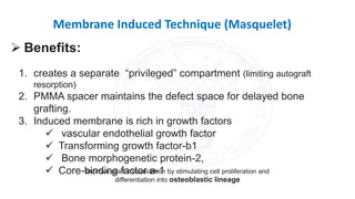 Membrane Induced Technique (Masquelet)
1. creates a separate “privileged” compartment (limiting autograft
resorption)
2. PMMA spacer maintains the defect space for delayed bone
grafting.
3. Induced membrane is rich in growth factors
 vascular endothelial growth factor
 Transforming growth factor-b1
 Bone morphogenetic protein-2,
 Core-binding factor a-1
 Benefits:
Improve graft consolidation by stimulating cell proliferation and
differentiation into osteoblastic lineage
 